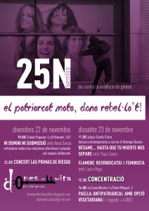 25-11-2013 dia contra la violència de gènere Dones en Lluita - Castelló de la Plana
