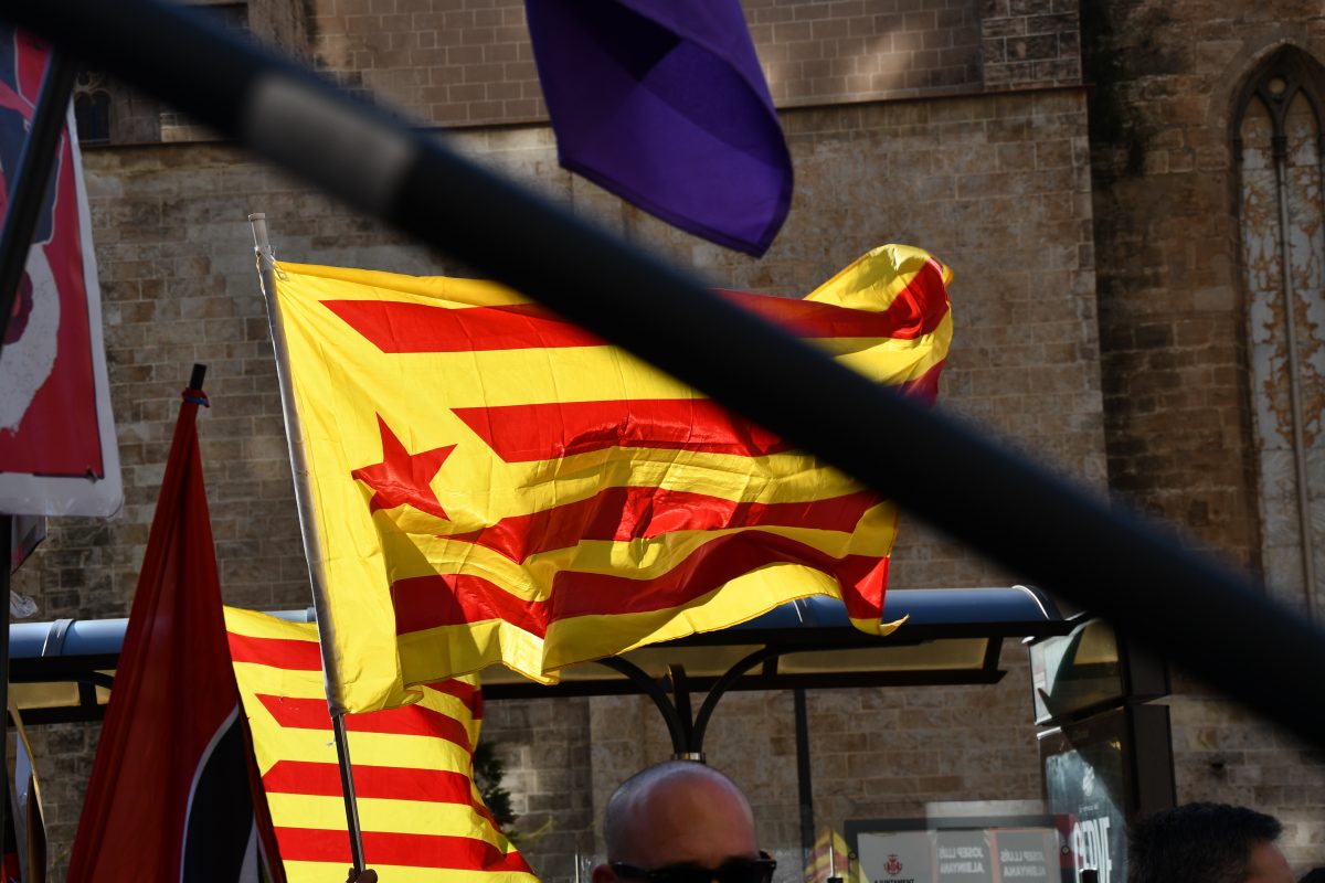 Les eleccions del 28-A i l’acció política de l’Esquerra Independentista